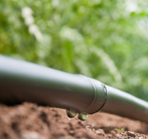 Hydro PC Tubo Gotejador