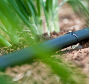 Hydrodrip Fita Gotejadora