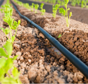 Hydrogol Tubo Gotejador de Fluxo Turbulento