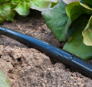 Ro-Drip Fita Gotejadora para Irrigação